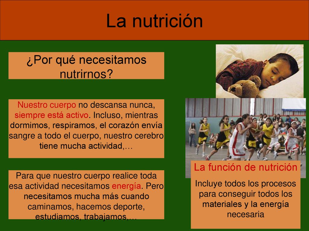 La nutrición ¿Por qué necesitamos nutrirnos La función de nutrición