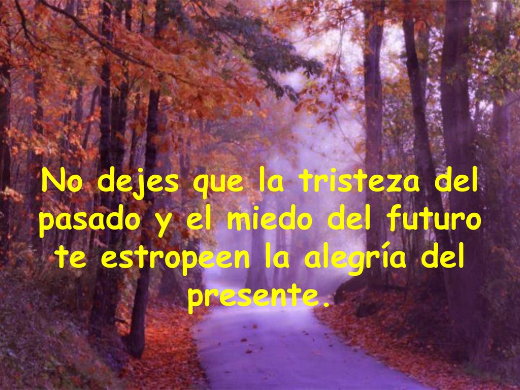 No dejes que la tristeza del pasado y el miedo del futuro te estropeen la alegría del presente.