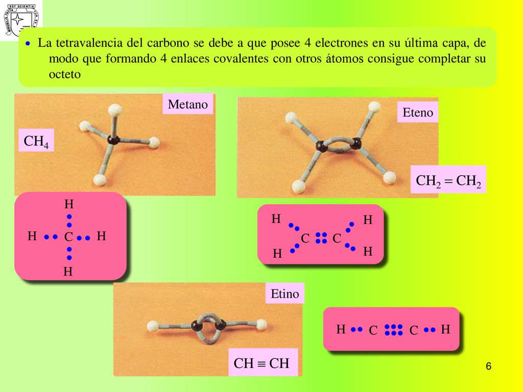 La tetravalencia del carbono se debe a que posee 4 electrones en su última capa, de modo que formando 4 enlaces covalentes con otros átomos consigue completar su octeto