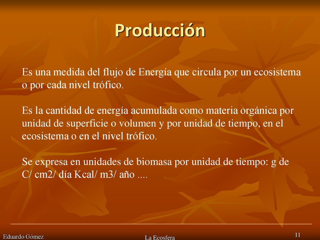 Producción Es una medida del flujo de Energía que circula por un ecosistema o por cada nivel trófico.