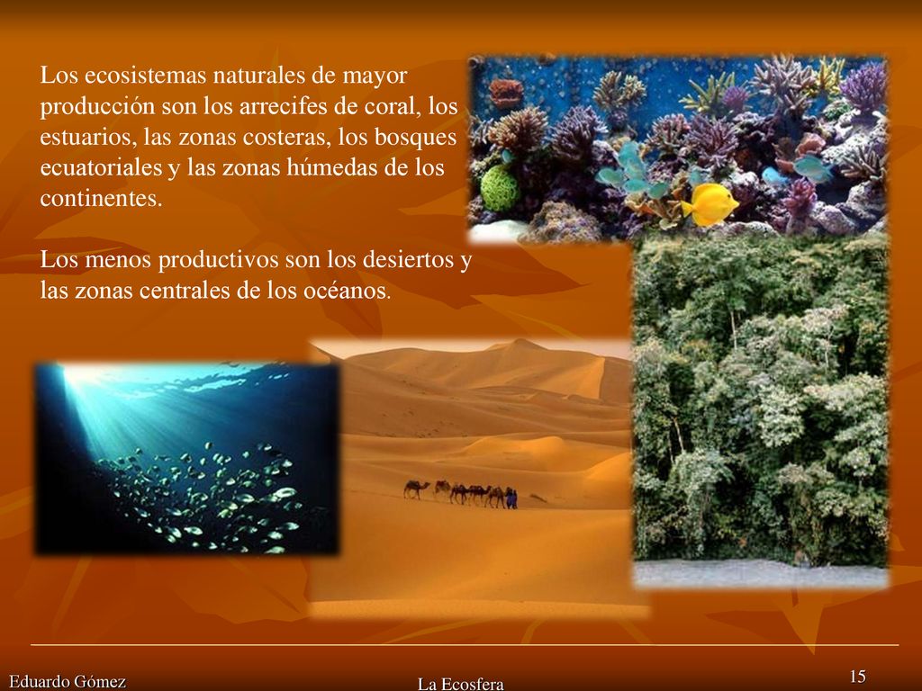 Los ecosistemas naturales de mayor producción son los arrecifes de coral, los estuarios, las zonas costeras, los bosques ecuatoriales y las zonas húmedas de los continentes.