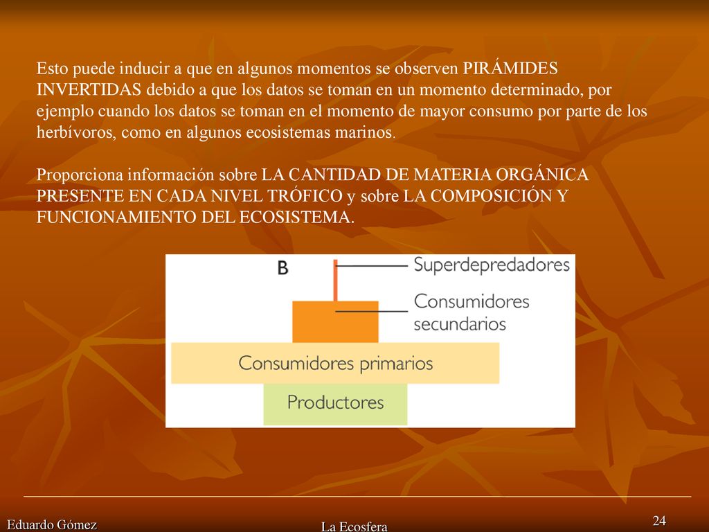 Esto puede inducir a que en algunos momentos se observen PIRÁMIDES INVERTIDAS debido a que los datos se toman en un momento determinado, por ejemplo cuando los datos se toman en el momento de mayor consumo por parte de los herbívoros, como en algunos ecosistemas marinos.