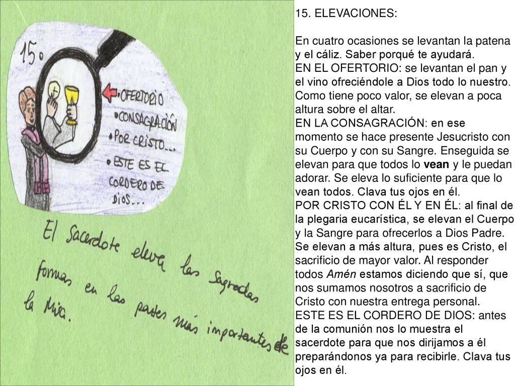 15. ELEVACIONES: En cuatro ocasiones se levantan la patena y el cáliz. Saber porqué te ayudará.