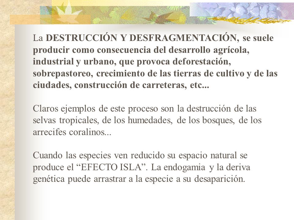La DESTRUCCIÓN Y DESFRAGMENTACIÓN, se suele producir como consecuencia del desarrollo agrícola, industrial y urbano, que provoca deforestación, sobrepastoreo, crecimiento de las tierras de cultivo y de las ciudades, construcción de carreteras, etc...