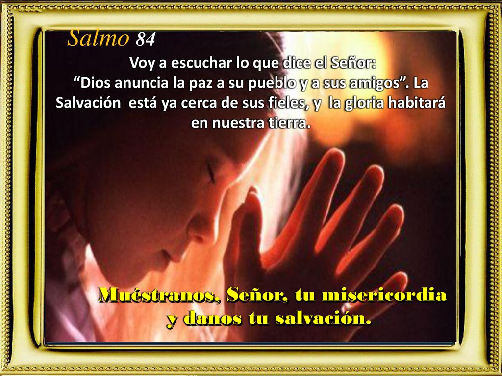 Muéstranos, Señor, tu misericordia y danos tu salvación.
