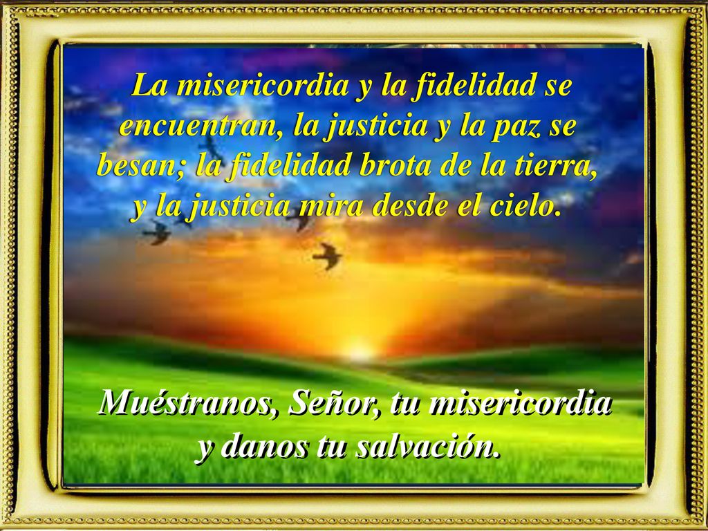 Muéstranos, Señor, tu misericordia y danos tu salvación.
