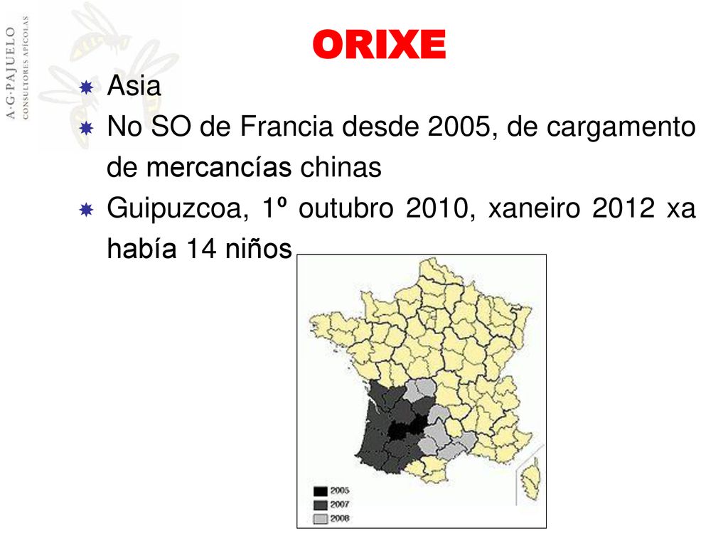 ORIXE Asia. No SO de Francia desde 2005, de cargamento de mercancías chinas.