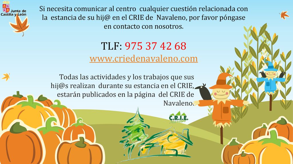 Si necesita comunicar al centro cualquier cuestión relacionada con la estancia de su en el CRIE de Navaleno, por favor póngase en contacto con nosotros. TLF: