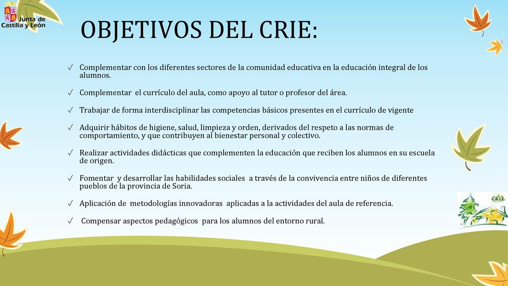 OBJETIVOS DEL CRIE: Complementar con los diferentes sectores de la comunidad educativa en la educación integral de los alumnos.