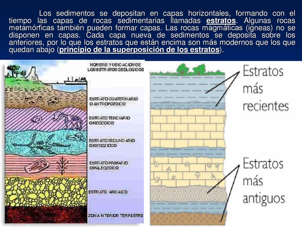 Los sedimentos se depositan en capas horizontales, formando con el tiempo las capas de rocas sedimentarias llamadas estratos.