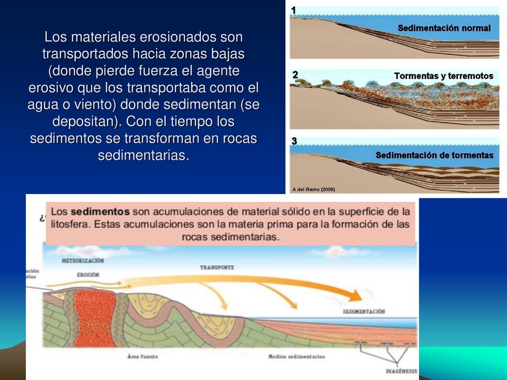 Los materiales erosionados son transportados hacia zonas bajas (donde pierde fuerza el agente erosivo que los transportaba como el agua o viento) donde sedimentan (se depositan).