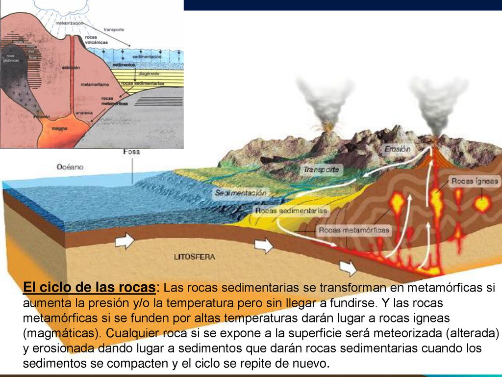El ciclo de las rocas: Las rocas sedimentarias se transforman en metamórficas si aumenta la presión y/o la temperatura pero sin llegar a fundirse.
