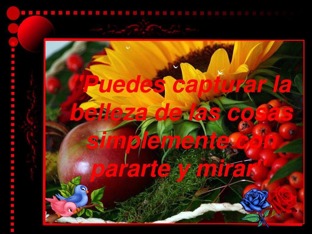 Puedes capturar la belleza de las cosas simplemente con pararte y mirar