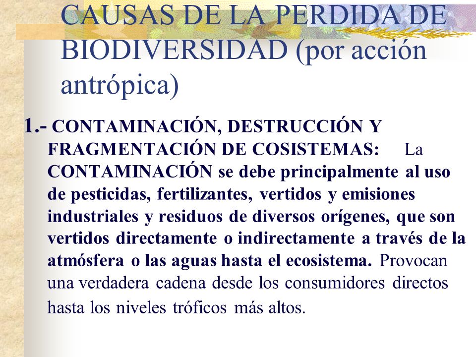 CAUSAS DE LA PERDIDA DE BIODIVERSIDAD (por acción antrópica)