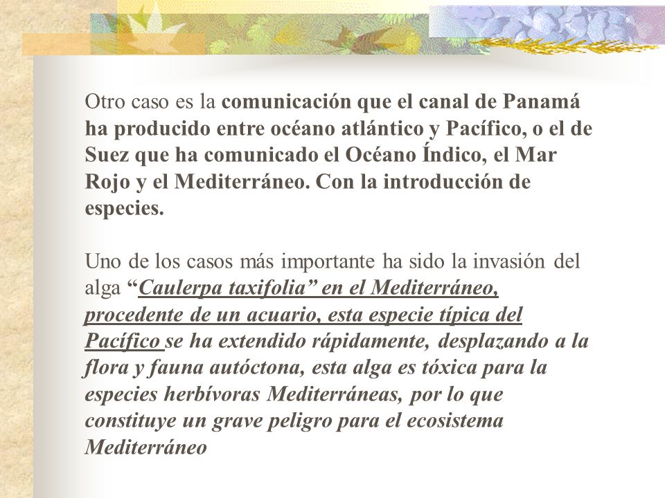 Otro caso es la comunicación que el canal de Panamá ha producido entre océano atlántico y Pacífico, o el de Suez que ha comunicado el Océano Índico, el Mar Rojo y el Mediterráneo. Con la introducción de especies.