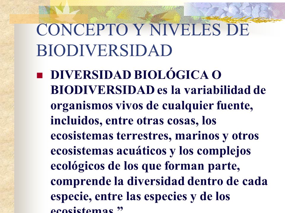 CONCEPTO Y NIVELES DE BIODIVERSIDAD