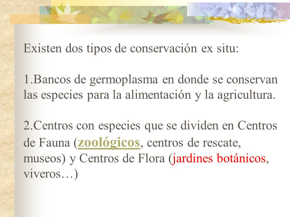 Existen dos tipos de conservación ex situ: