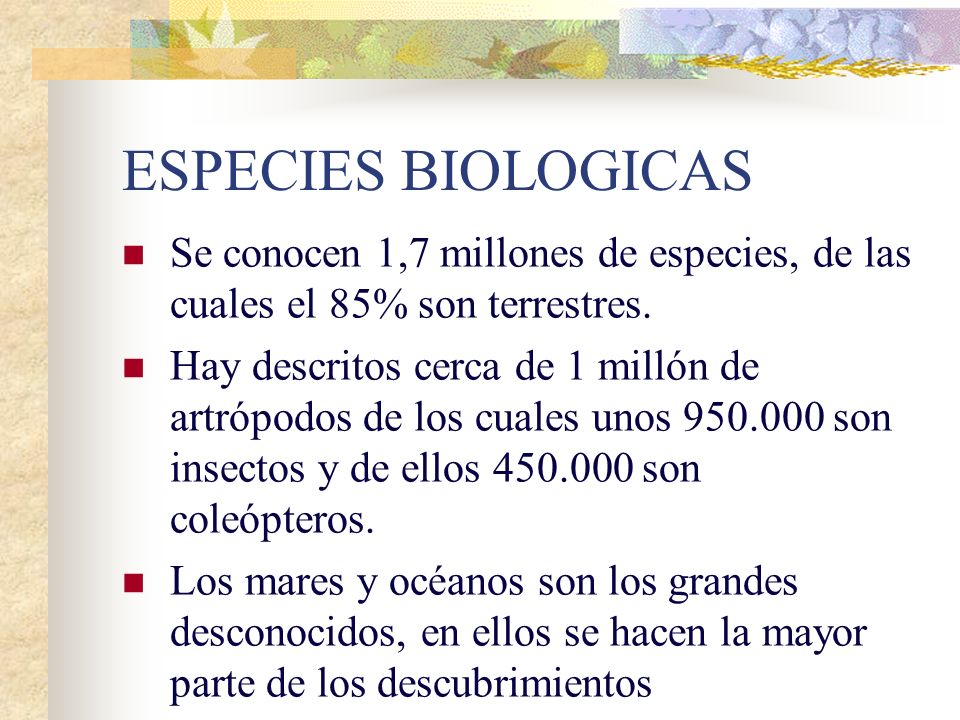 ESPECIES BIOLOGICAS Se conocen 1,7 millones de especies, de las cuales el 85% son terrestres.
