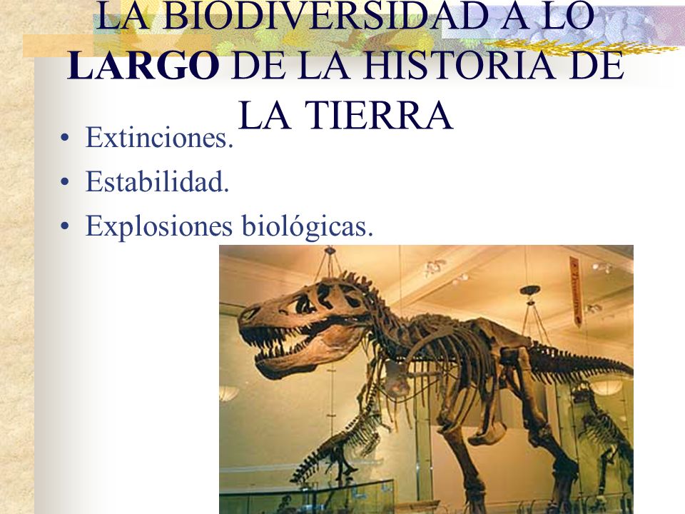 LA BIODIVERSIDAD A LO LARGO DE LA HISTORIA DE LA TIERRA