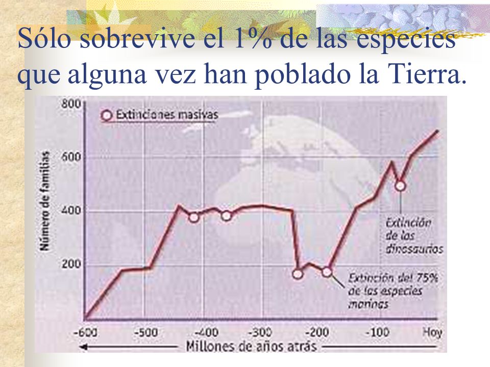 Sólo sobrevive el 1% de las especies que alguna vez han poblado la Tierra.