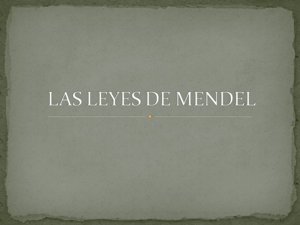 LAS LEYES DE MENDEL