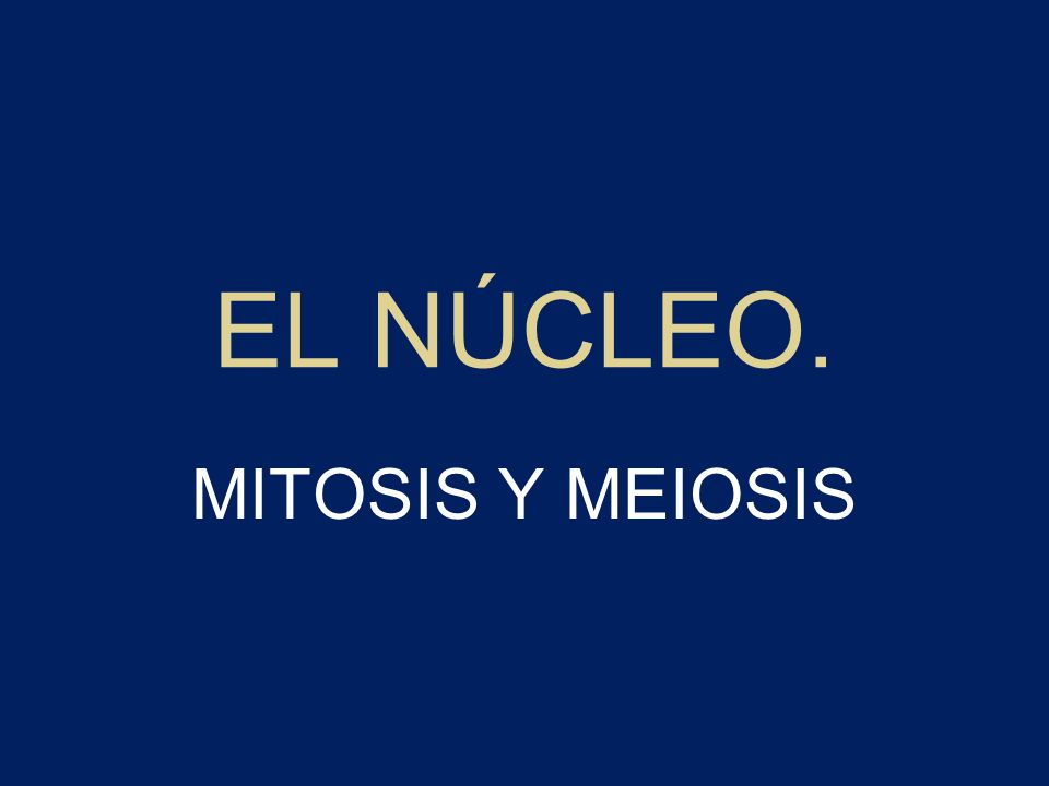EL NÚCLEO. MITOSIS Y MEIOSIS