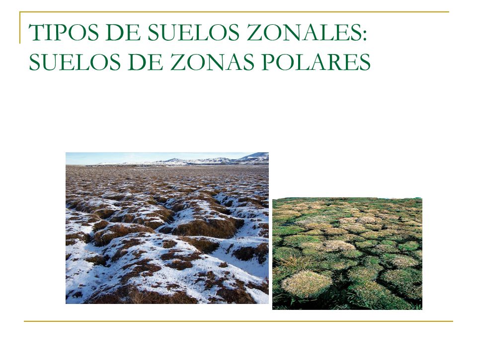 TIPOS DE SUELOS ZONALES: SUELOS DE ZONAS POLARES