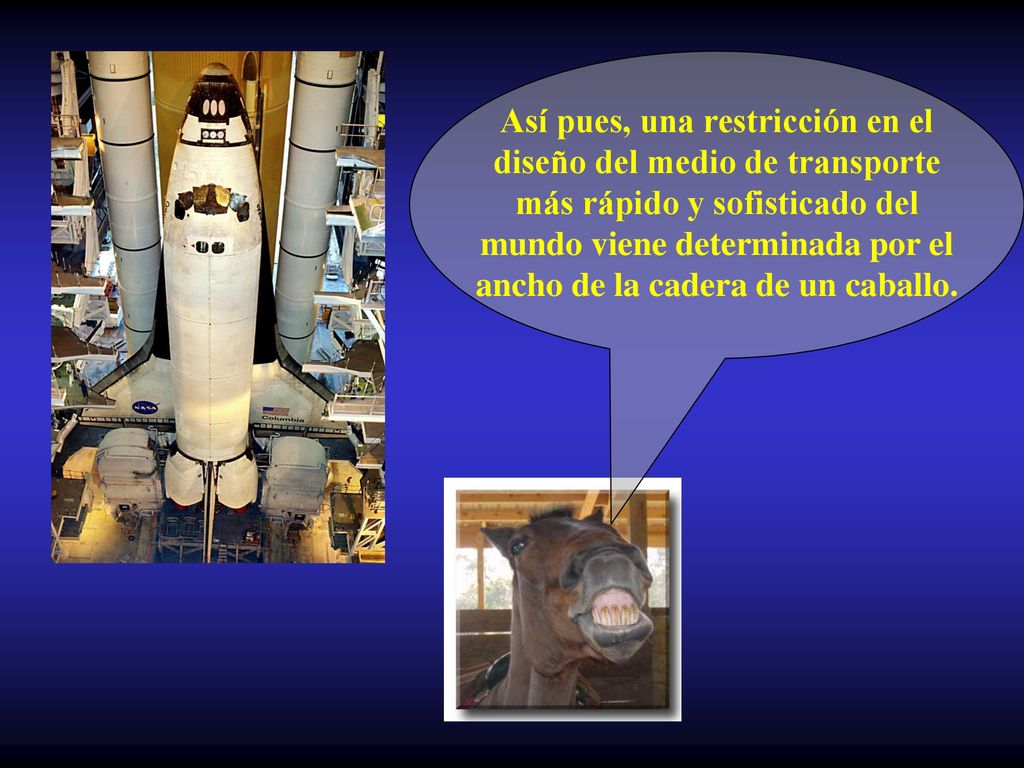 Así pues, una restricción en el diseño del medio de transporte más rápido y sofisticado del mundo viene determinada por el ancho de la cadera de un caballo.