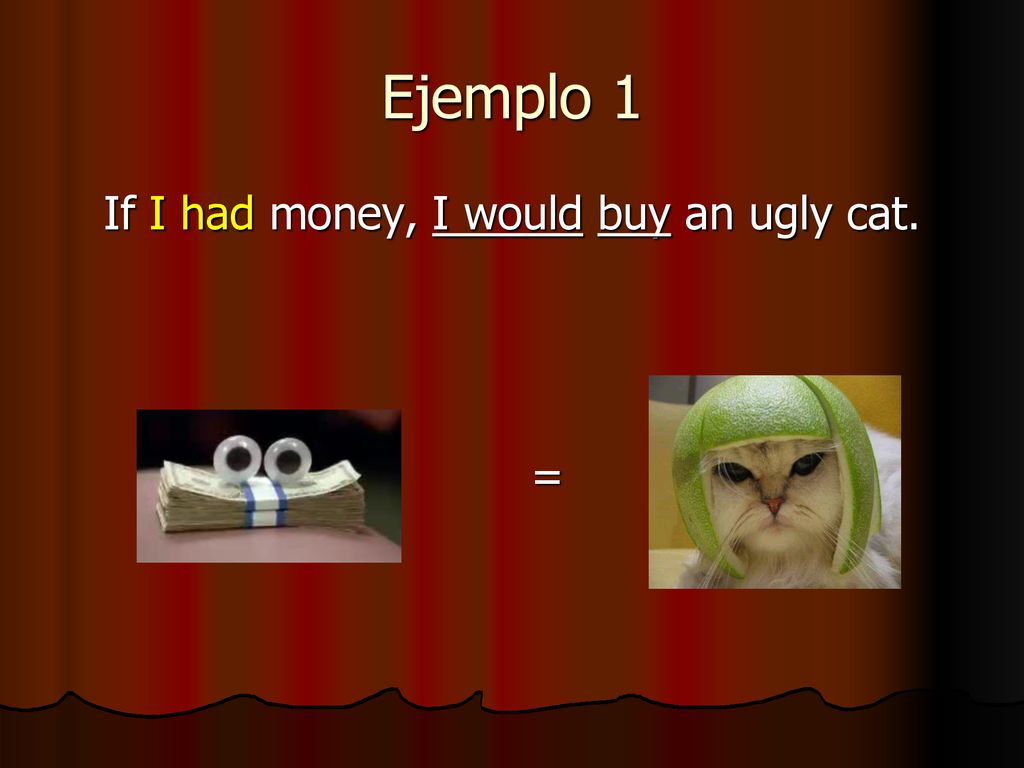 If I had money, I would buy an ugly cat.