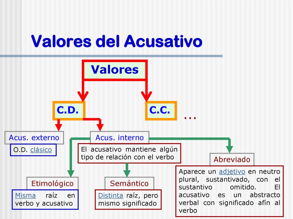 Valores del Acusativo ... Valores C.D. C.C. Acus. externo