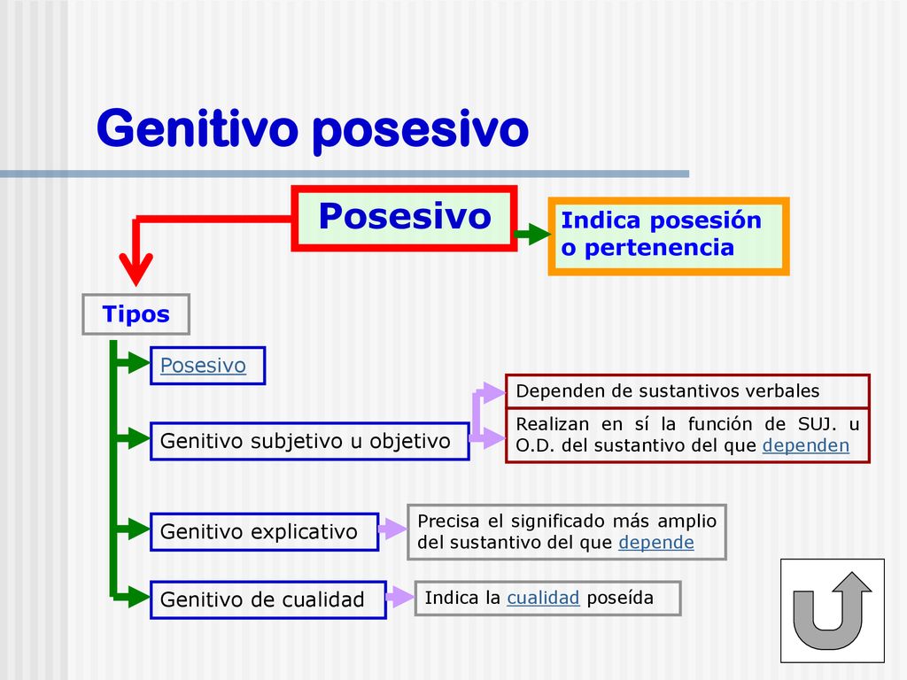 Genitivo posesivo Posesivo Indica posesión o pertenencia Tipos