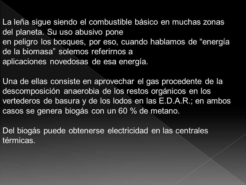 La leña sigue siendo el combustible básico en muchas zonas del planeta