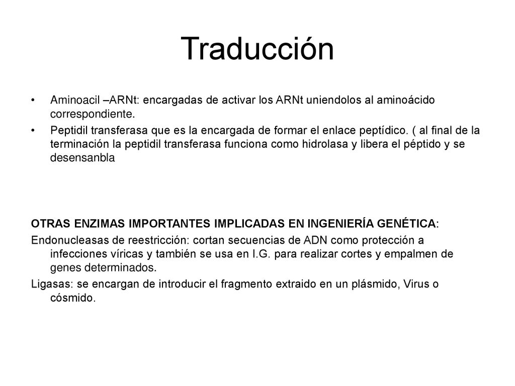 Traducción Aminoacil –ARNt: encargadas de activar los ARNt uniendolos al aminoácido correspondiente.