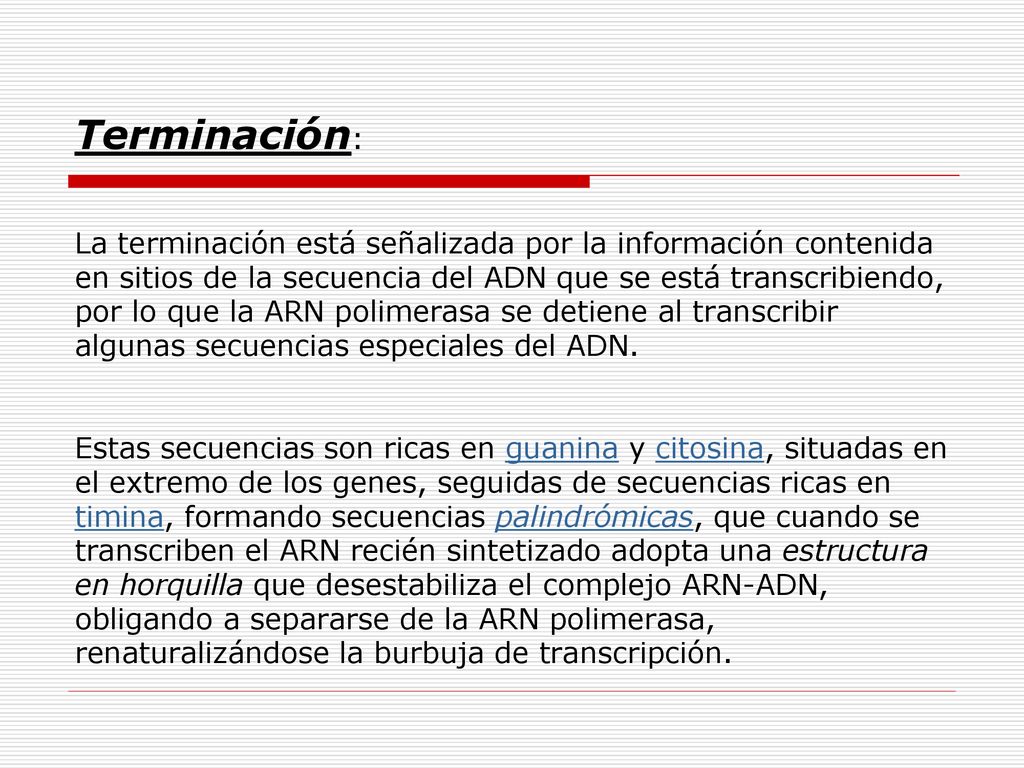 Terminación: La terminación está señalizada por la información contenida en sitios de la secuencia del ADN que se está transcribiendo, por lo que la ARN polimerasa se detiene al transcribir algunas secuencias especiales del ADN.
