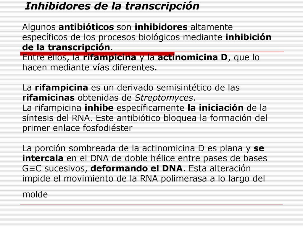 Inhibidores de la transcripción Algunos antibióticos son inhibidores altamente específicos de los procesos biológicos mediante inhibición de la transcripción.
