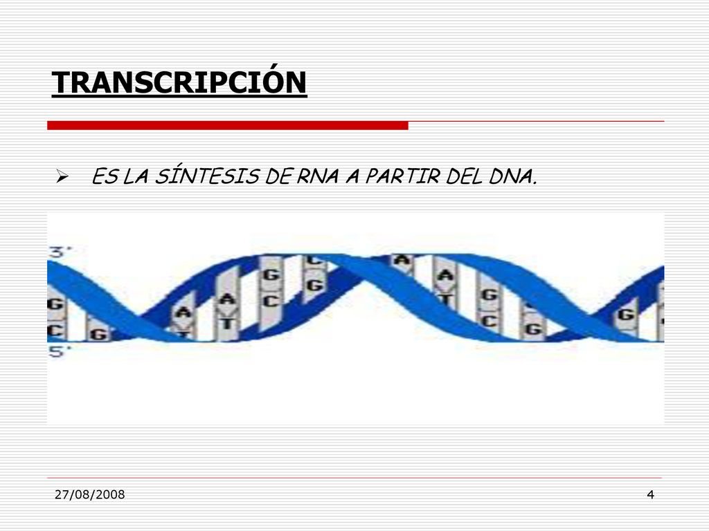 TRANSCRIPCIÓN ES LA SÍNTESIS DE RNA A PARTIR DEL DNA. 27/08/2008