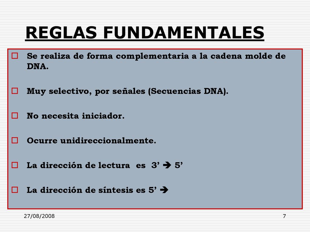 REGLAS FUNDAMENTALES Se realiza de forma complementaria a la cadena molde de DNA. Muy selectivo, por señales (Secuencias DNA).