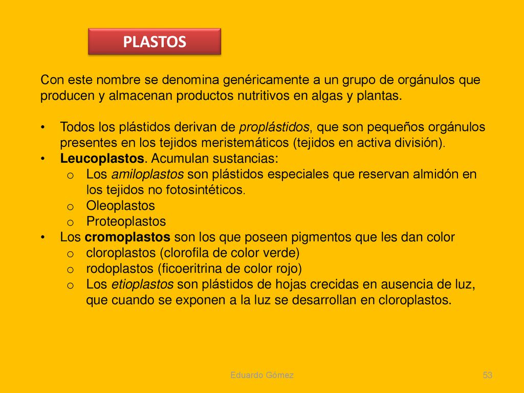 PLASTOS Con este nombre se denomina genéricamente a un grupo de orgánulos que producen y almacenan productos nutritivos en algas y plantas.