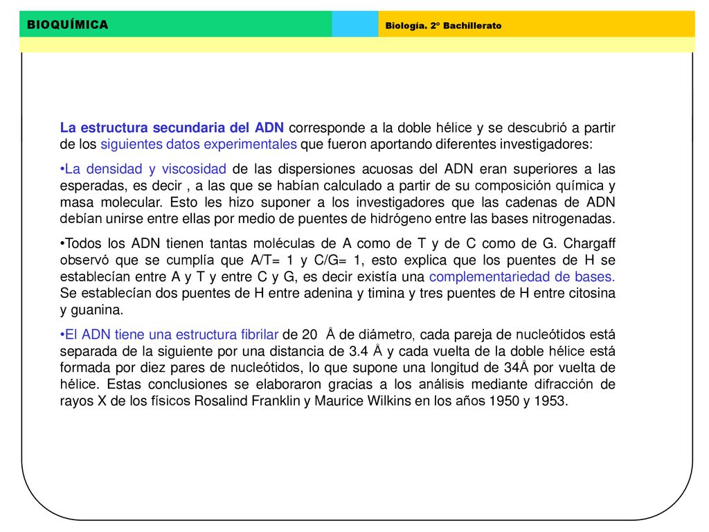 La estructura secundaria del ADN corresponde a la doble hélice y se descubrió a partir de los siguientes datos experimentales que fueron aportando diferentes investigadores: