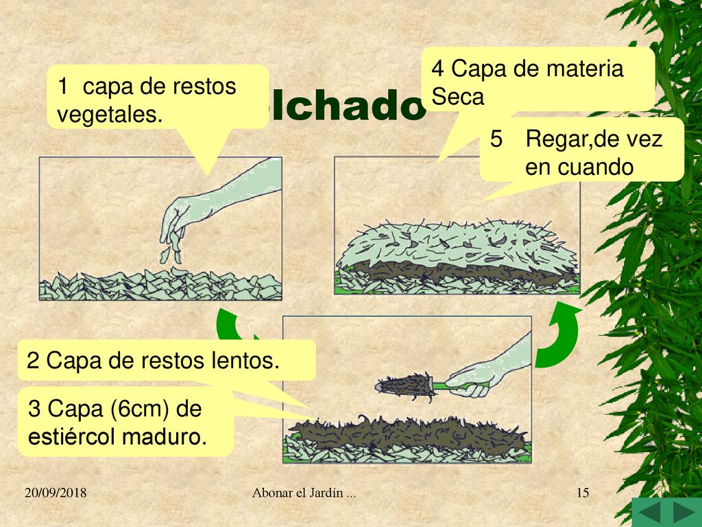 Acolchado 4 Capa de materia Seca 1 capa de restos vegetales.