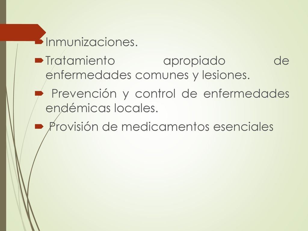 Inmunizaciones. Tratamiento apropiado de enfermedades comunes y lesiones. Prevención y control de enfermedades endémicas locales.
