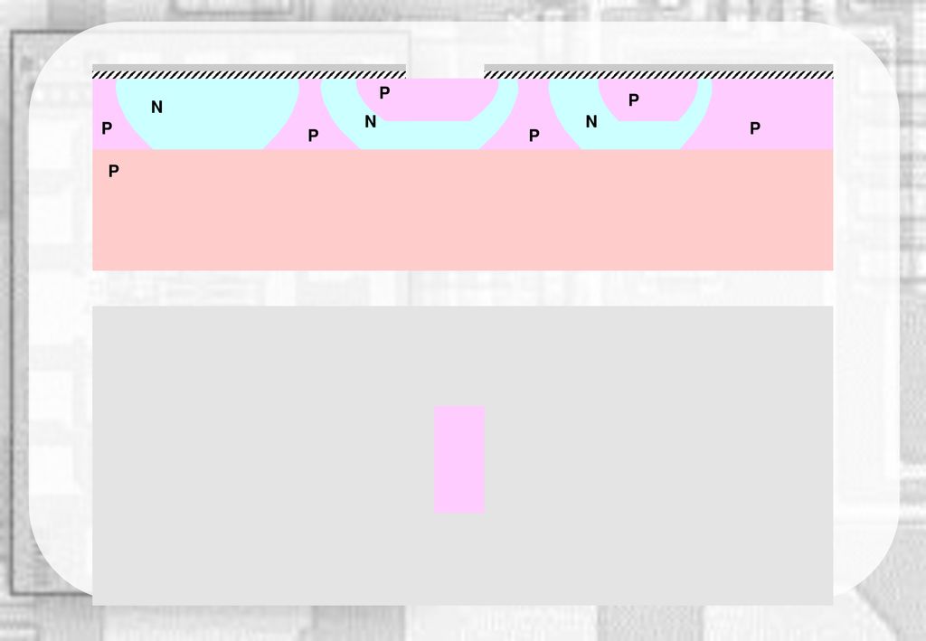 P P N N N P P P P P