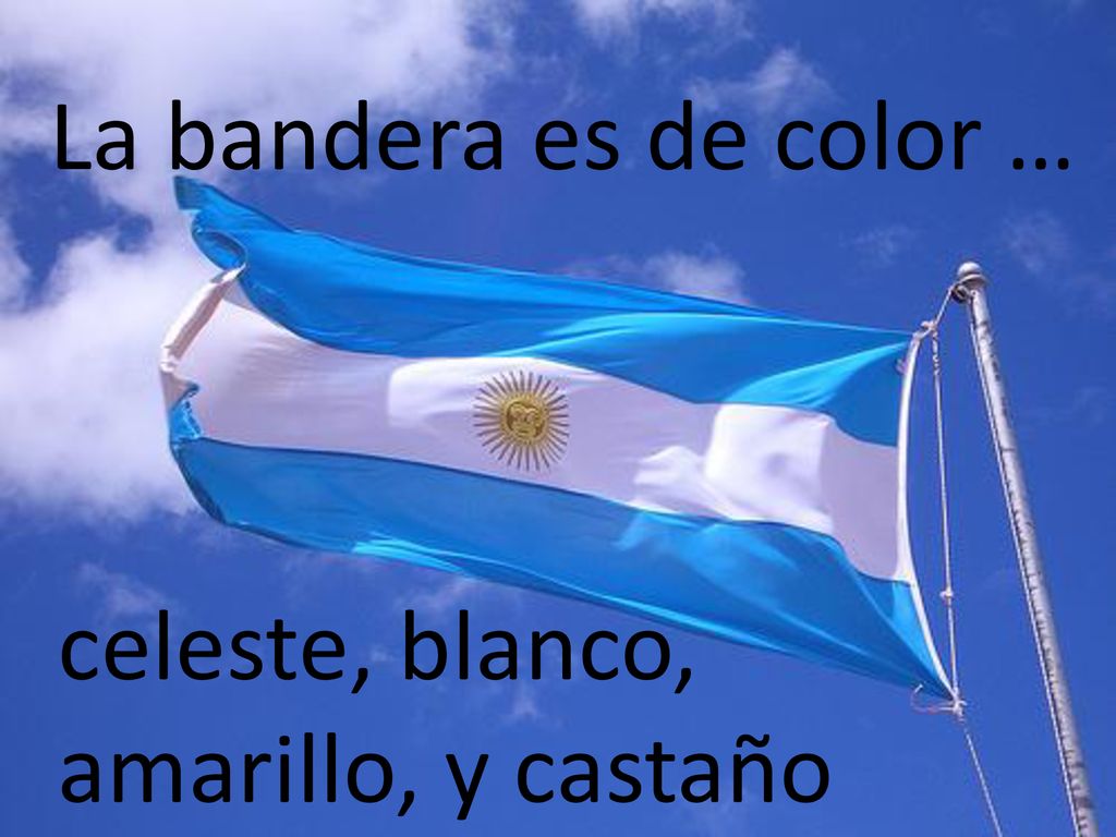 La bandera es de color … celeste, blanco, amarillo, y castaño