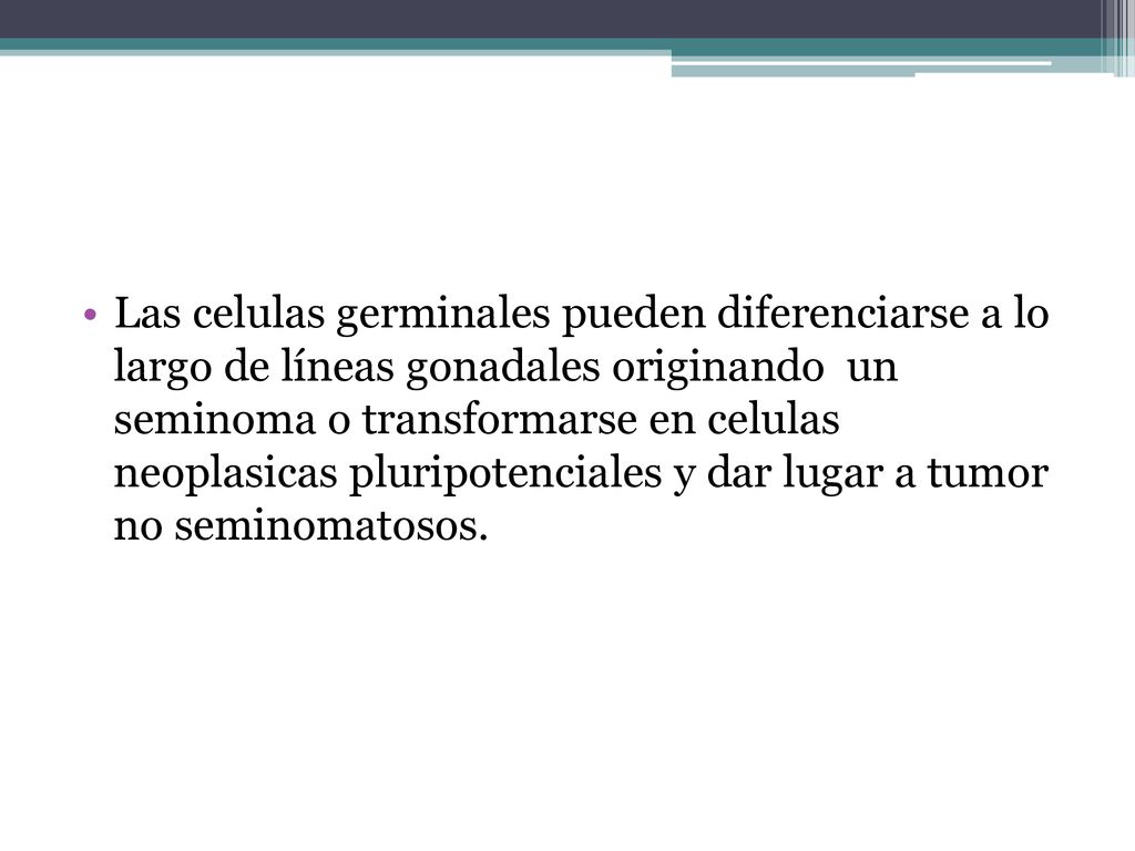Las celulas germinales pueden diferenciarse a lo largo de líneas gonadales originando un seminoma o transformarse en celulas neoplasicas pluripotenciales y dar lugar a tumor no seminomatosos.