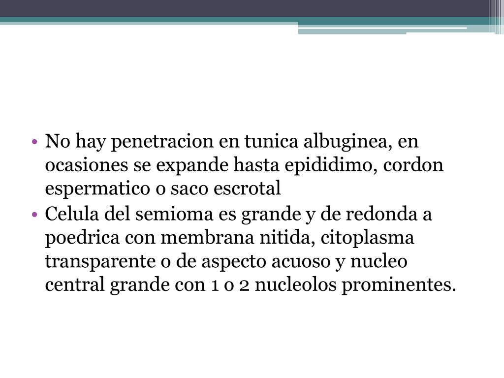 No hay penetracion en tunica albuginea, en ocasiones se expande hasta epididimo, cordon espermatico o saco escrotal