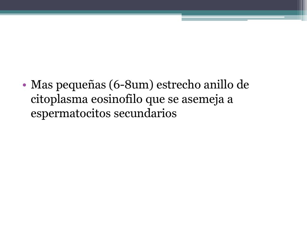Mas pequeñas (6-8um) estrecho anillo de citoplasma eosinofilo que se asemeja a espermatocitos secundarios