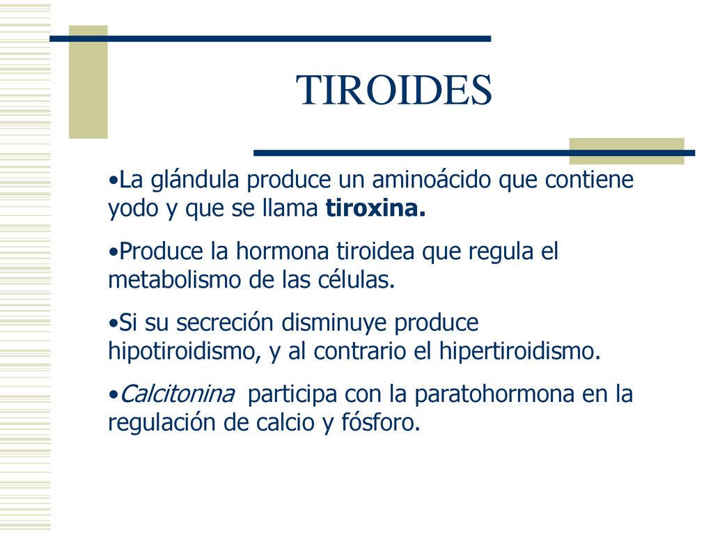 TIROIDES La glándula produce un aminoácido que contiene yodo y que se llama tiroxina.