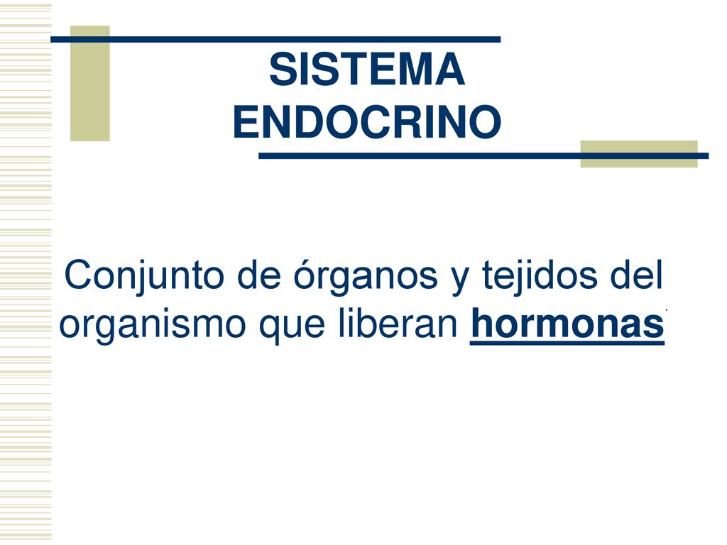 Conjunto de órganos y tejidos del organismo que liberan hormonas.