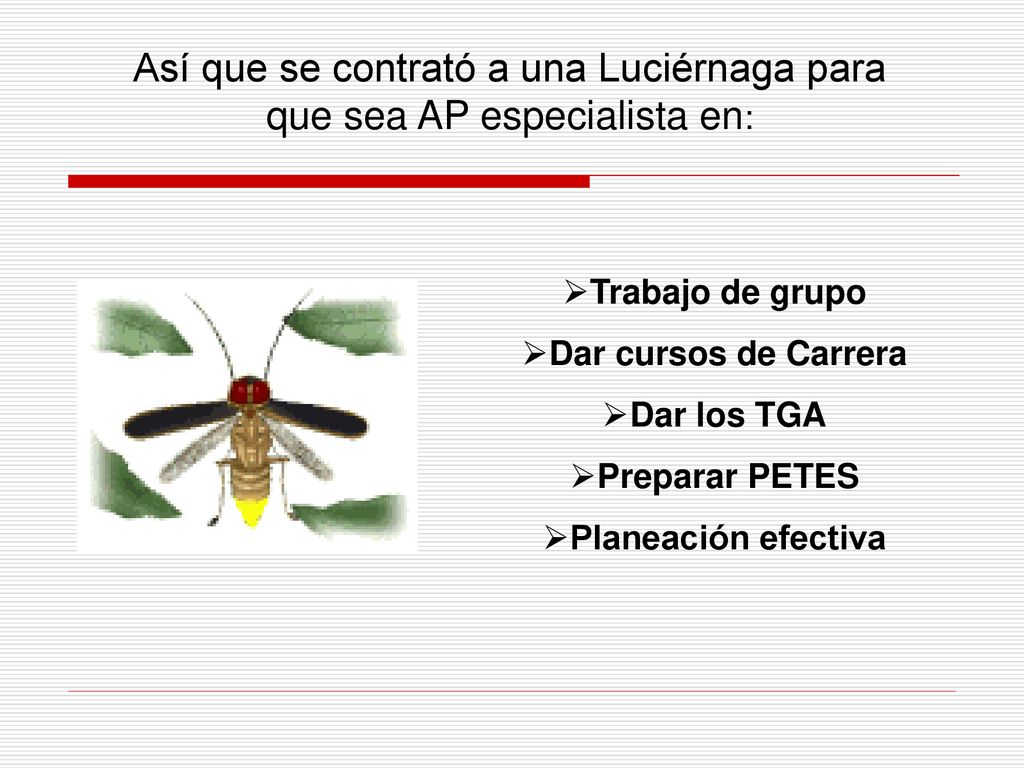 Así que se contrató a una Luciérnaga para que sea AP especialista en: