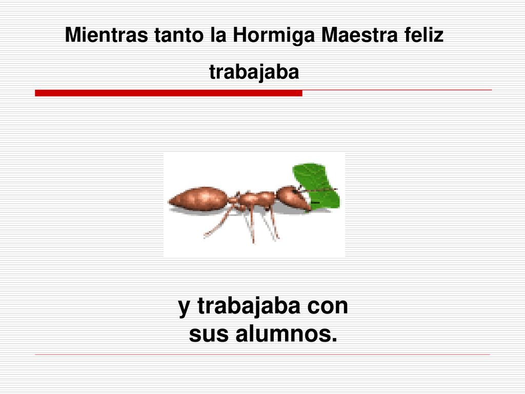 Mientras tanto la Hormiga Maestra feliz y trabajaba con sus alumnos.